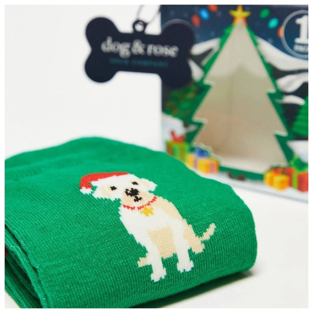 Christmas Santa Hat Dog Socks in Gift Box